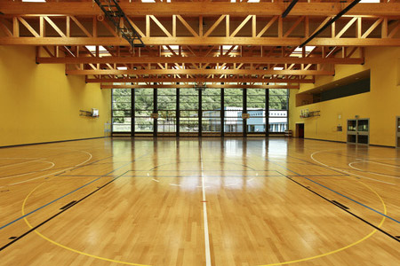 Roof Trusses for Internal High Cleaning